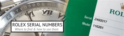 rolex watch database|rolex watch serial numbers lookup.